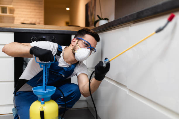 Best Rat Extermination Near Me  in Ben Avon, PA