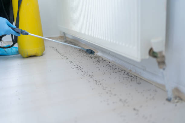 Best Pest Control Treatment  in Ben Avon, PA