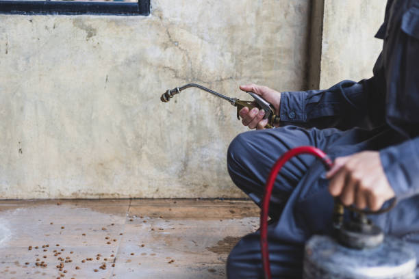 Best Pest Prevention Services  in Ben Avon, PA